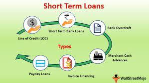 Immediate Business Loans With A Great Reputation