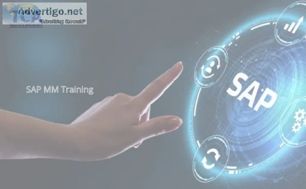 Best sap mm training institute in delhi
