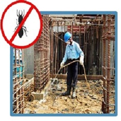 Best Pest Control Services in Indore - Professional Service Prov