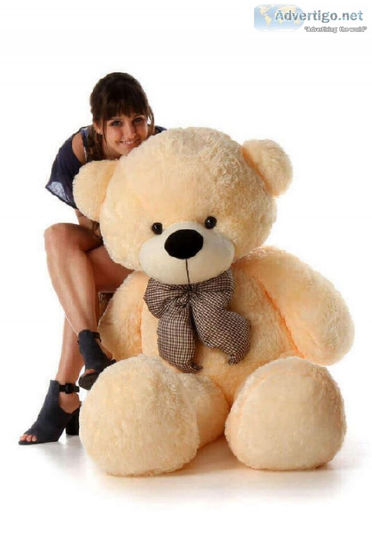 Get Plush Bear  Giant Teddy