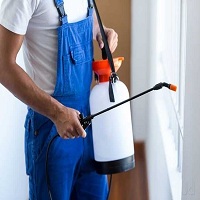 Best Pest Control Services in Indore - Professional Service Prov