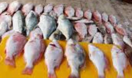 Mancing di jakarta