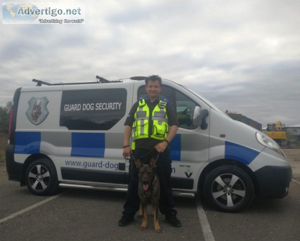 Business protection with dogs dorking | guard dog security