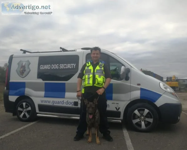 Business protection with dogs dorking | guard dog security