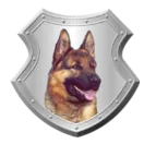 Business protection with dogs dorking | guard dog security
