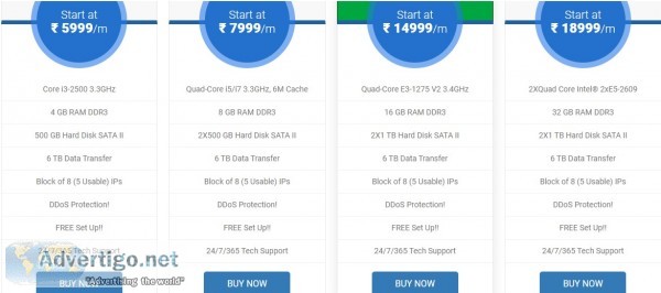 Web hosting server provider in india