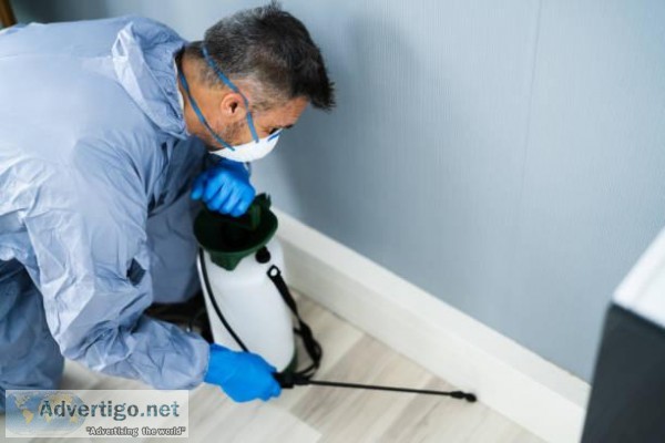 Get the Best Pest Inspection For Your HomeOffice
