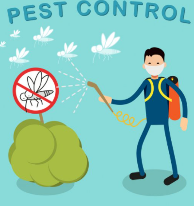 Pest control in Lucknow  pest control Company in Lucknow