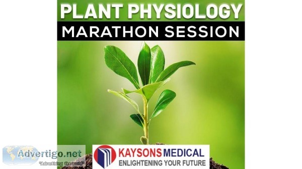 NEET plant physiology syllabus