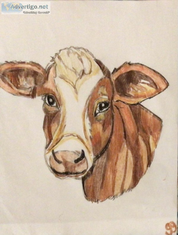 Fall Cow GG &ndash 8&rdquo x 11&rdquo Colored Pencil