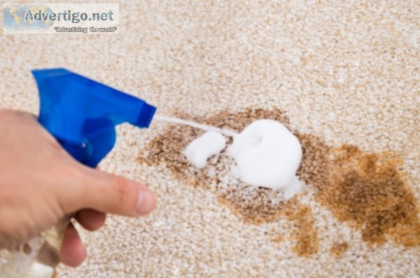 Carpet pet urine removal sydney
