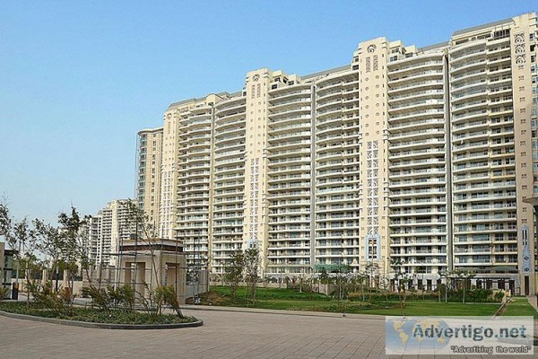 4 BHK Apartment for Rent in DLF The Magnolias Apartment for Rent