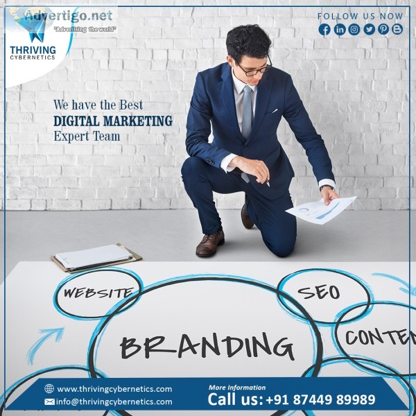Website development in delhi | website designers