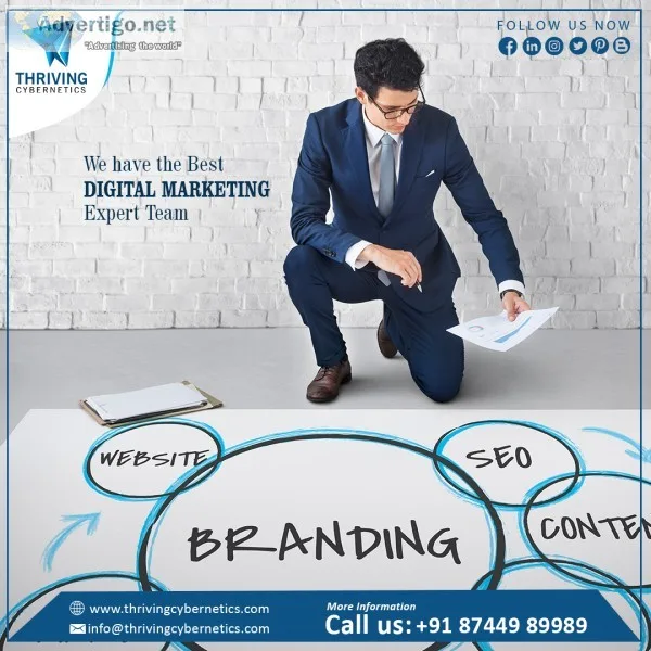 Website development in delhi | website designers