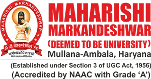 Best College of Management in Haryana India
