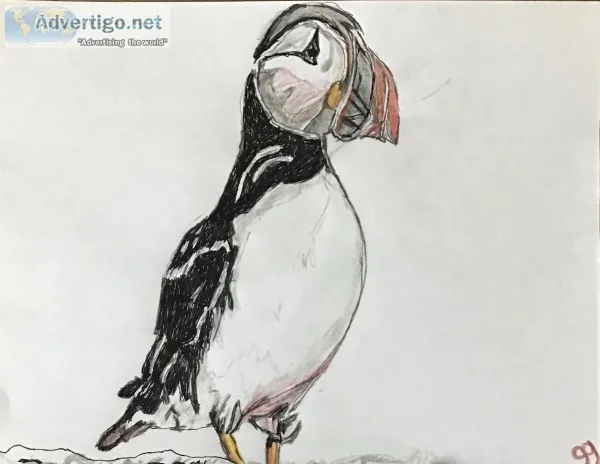 Puffin Bird GG &ndash 8&rdquo x 11&rdquo Colored Pencil