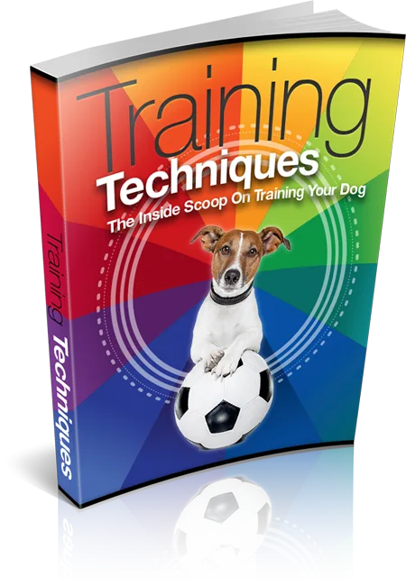 Dog Training in home