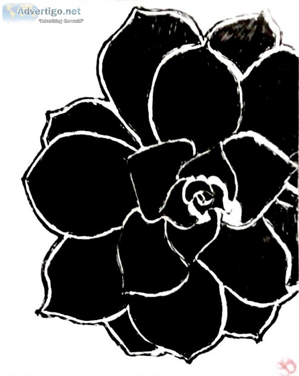Black and White Succulent GG &ndash 8&rdquo x 11&rdquo Art Ink