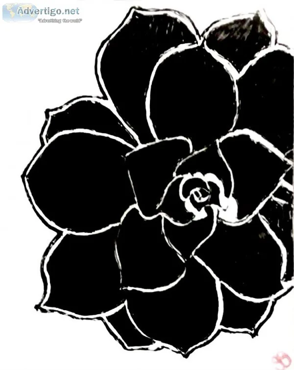 Black and White Succulent GG &ndash 8&rdquo x 11&rdquo Art Ink