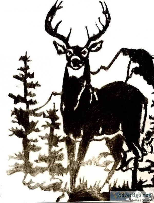 10 Point Buck In Field &ndash 9&Prime x 12&Prime Colored Pencil 
