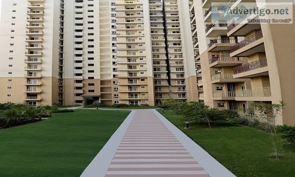 Ready to move 2 BHK Flat in Noida Extension