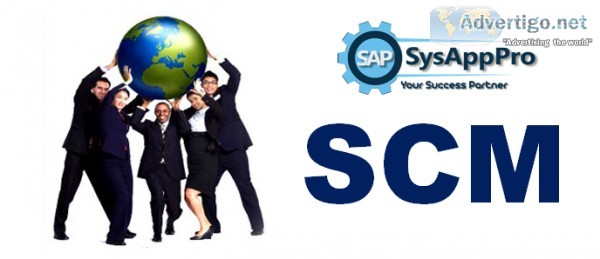 Online SAP SCM Certification Training Course