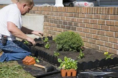 Best Landscape Contractors in Sarasota.