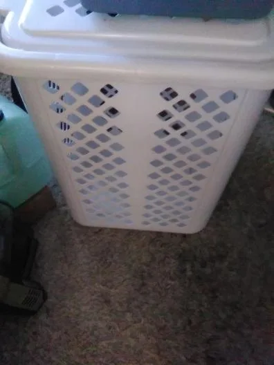 Strong Light Plastic Basket (good for Laundry) JUST 5