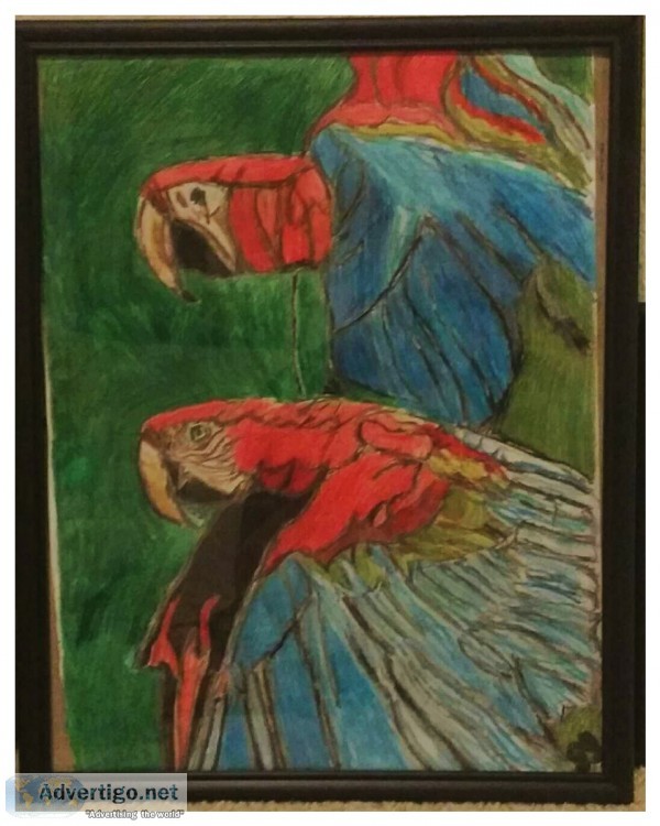 Parrots 1 &ndash 11&Prime x 14&Prime Colored Pencil