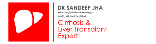 Best doctor for liver in delhi