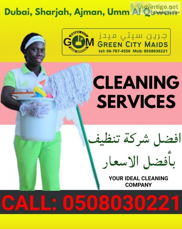 Sofa cleaning services green city maids