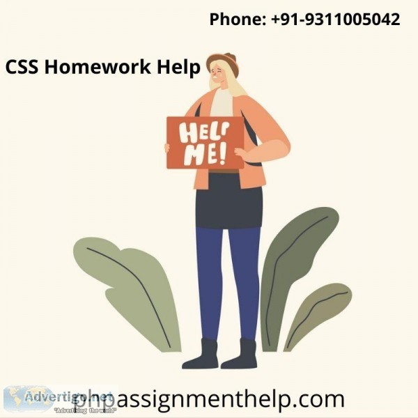 Get CSS Homework Help in Your Budget