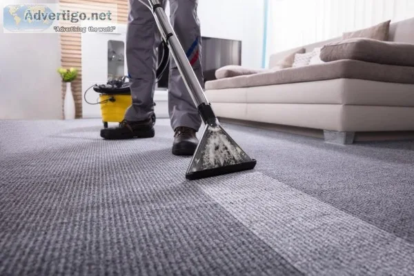 Need you Carpet Cleaning Services in Etobicoke