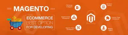 Best Magento Development Company in India  Magento Development C