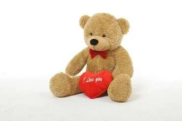 Buy Medium Teddy Bear  Giant Teddy