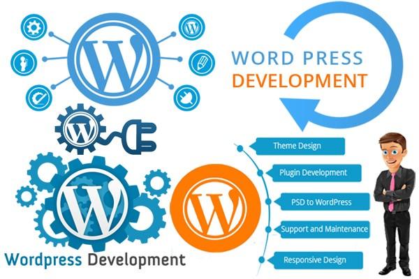 WordPress development company India  wordpress website developme