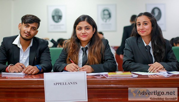 Best colleges for BCA Noida  Best BCA courses Noida