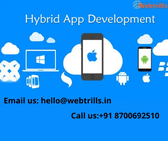 Best Hybrid App Development Company in Delhi