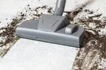 Carpet cleaning mitchell