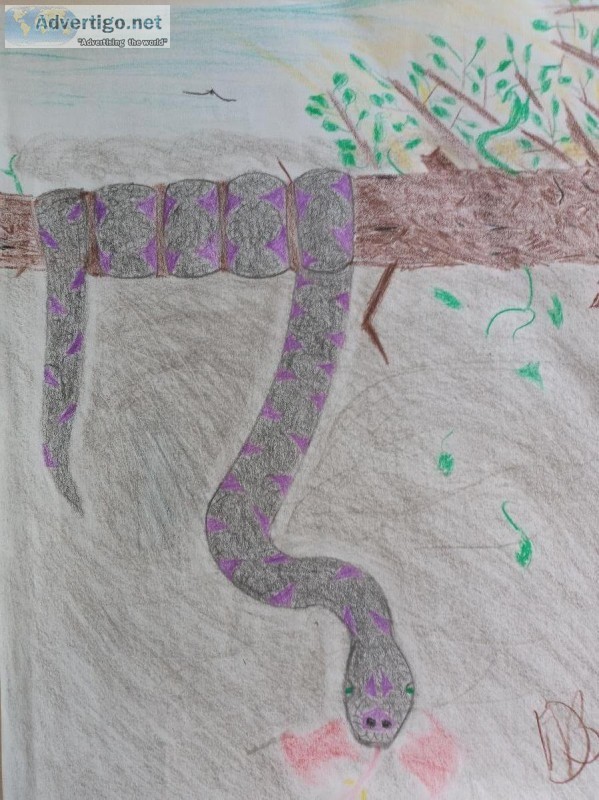 Dangling Constrictor