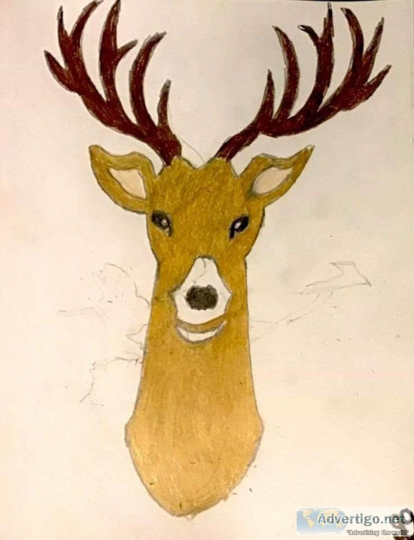12 Point Buck GG &ndash 9&Prime x 12&Prime Colored Pencil