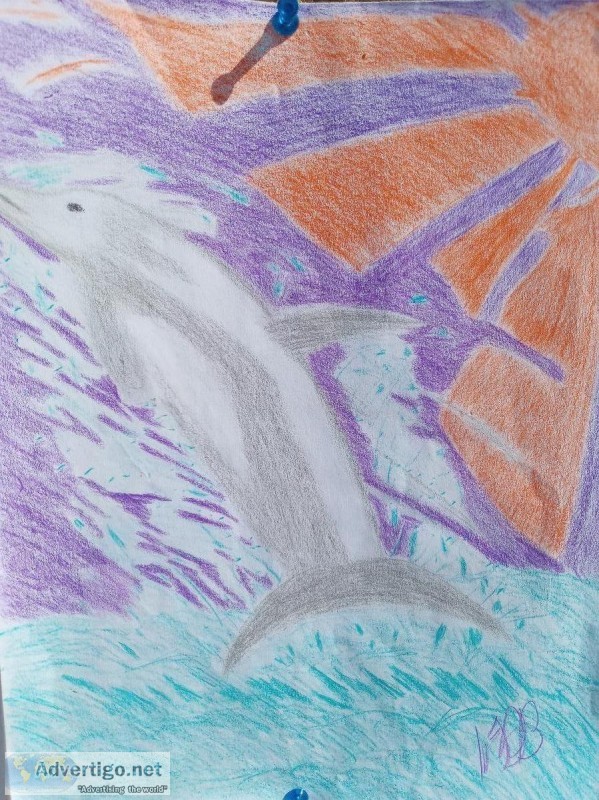 A Dolphin Morning