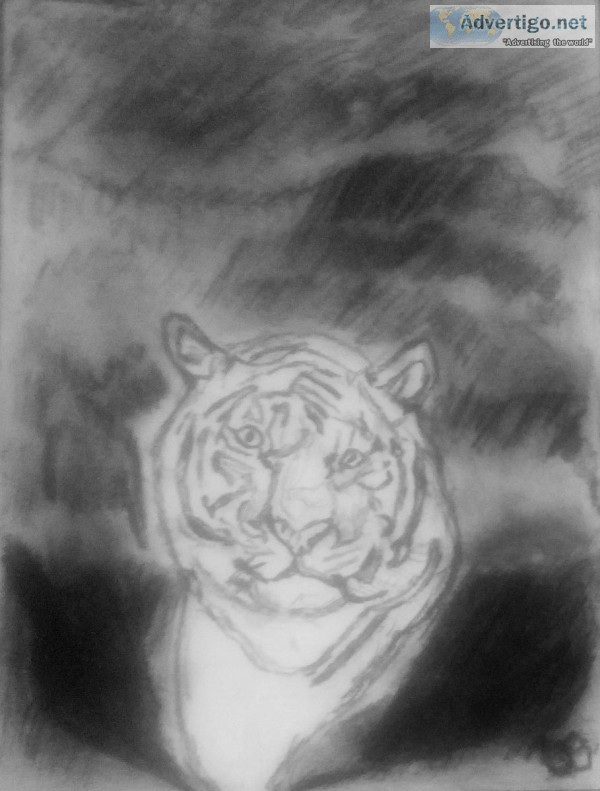 Tiger GG &ndash 9&Prime x 12&Prime Charcoal
