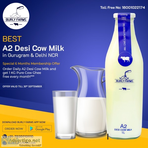 A2 cow milk in gurgaon