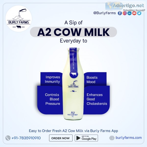 A2 cow milk in gurgaon