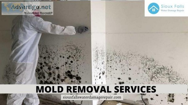 How Does Mold Removal Services For Sioux Falls
