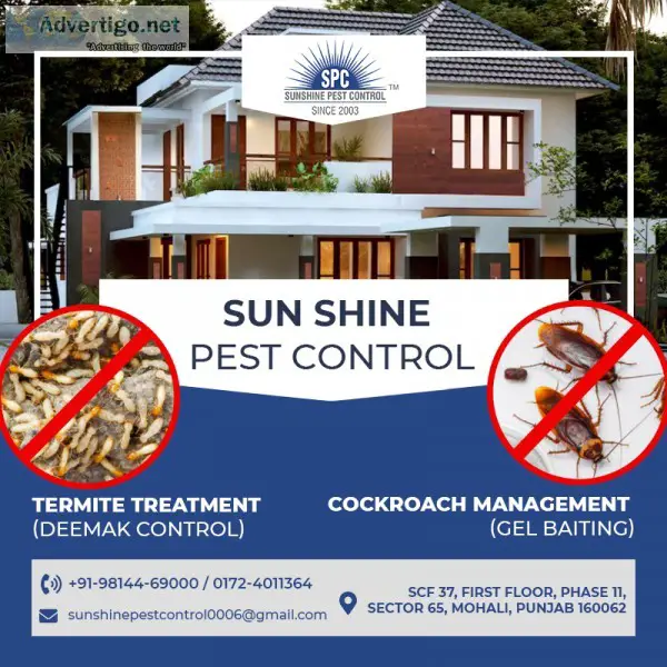 Best Termite and Cockroaches Control Services
