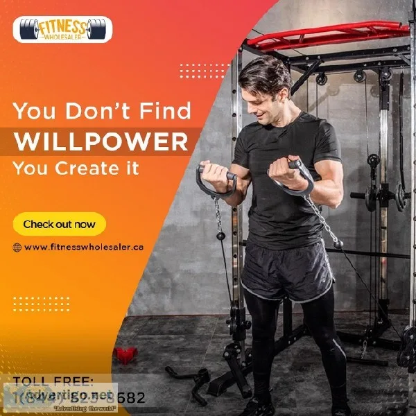 Best Bench For Workout In Canada  Fitness Wholesaler