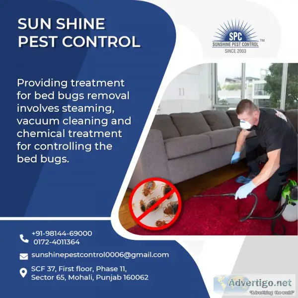 How Pest Control Get Rid of Bed Bugs