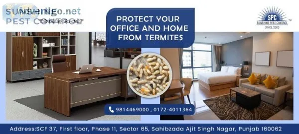 Best Treatment For Rats and Bed-bugs  Best Pest Treatment in Moh